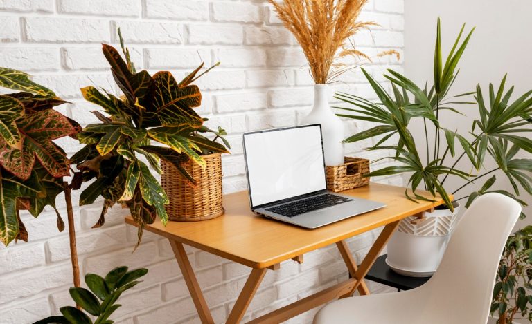The IT Guys article image for Brand New Office Setup In Boca Raton, FL on April 18th 2024.
