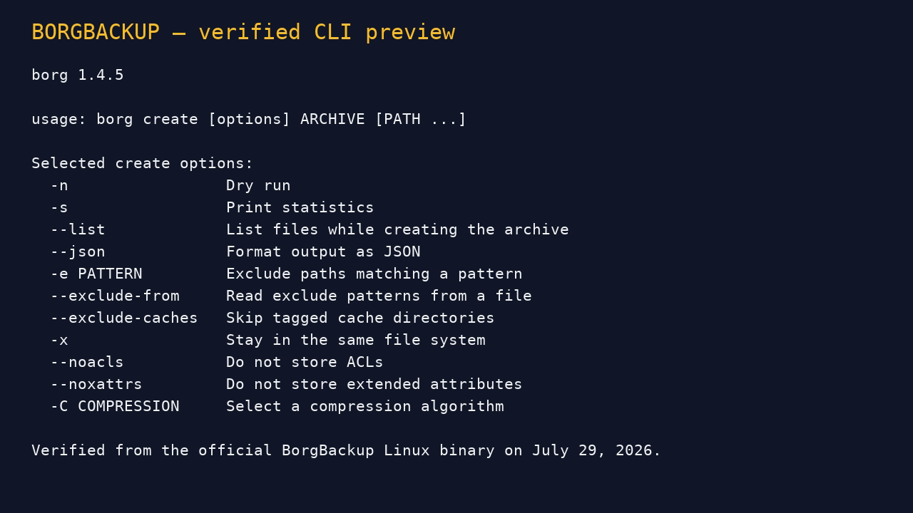 Verified BorgBackup create command preview from official Linux binary