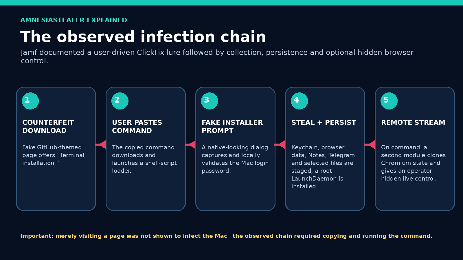 Five-step diagram of the observed AmnesiaStealer infection chain: counterfeit download page, user-pasted command, fake installer password prompt, data theft and persistence, then optional remote browser streaming.